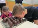 Dateiname=IMG_1248.JPG
Dateigröße=670KB
Abmessungen: 2048x1536
hinzugefügt am: 14. Dezember 2015 IMG_1248.JPG